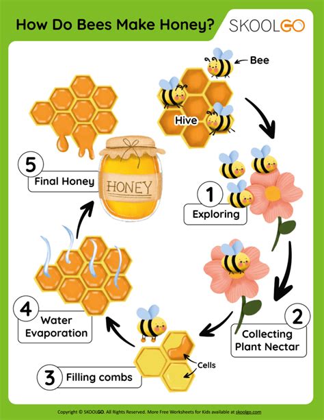 Writing Task 1 The Diagram Illustrates How Bees Produce Honey Ielts – Rainy Weathers