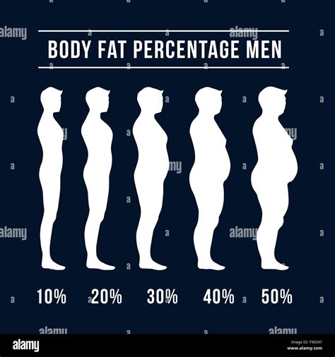 body fat percentage men women designs concept vector. diets and exercises before and after from ...