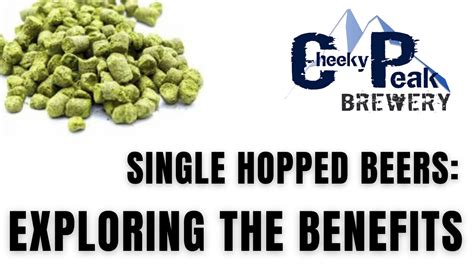 Single Hopped Beers: Exploring the Benefits of Brewing with a Single Hop Variety - Cheeky Peak ...