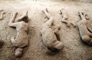 What did the people of Pompeii look like?