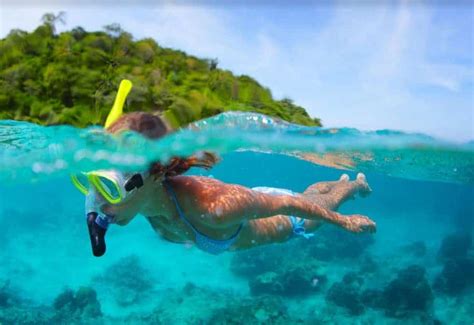 Best Places To Snorkel In Costa Rica [Top 5 Dive Sites]