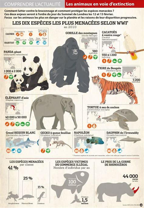 Les animaux en voie de disparition | Fun facts about animals, Animal ...