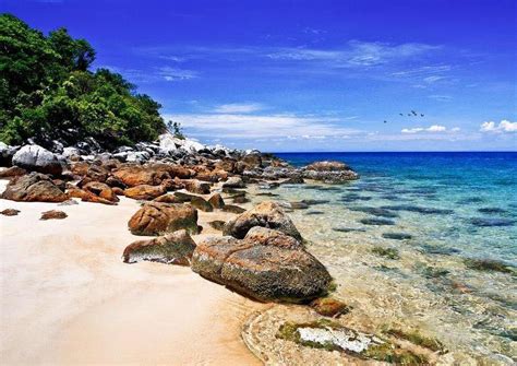 Cham Islands: Sea Walking and Snorkeling - Da Nang Home Cooking class