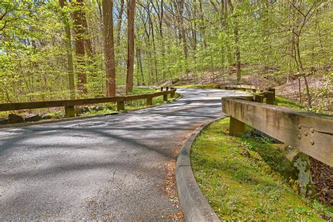 Free photo: Rock Creek Park Road - HDR - , Scenery, Road - Free Download - Jooinn