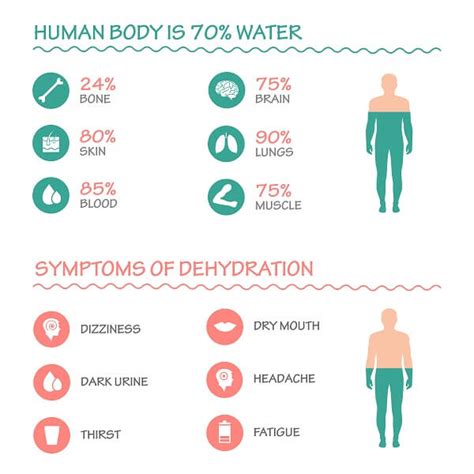 Dehydration- The Importance of Staying Hydrated