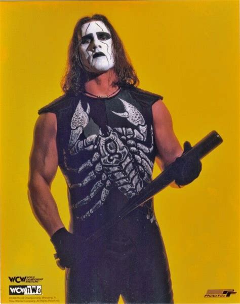 Sting - Crow inspired, silent avenger. 1997-1998, 1999-2010, 2012-current | Sting wcw, Wonder ...