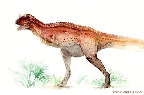 Carnotaurus | Prehistoric animals, Prehistoric art, Prehistoric