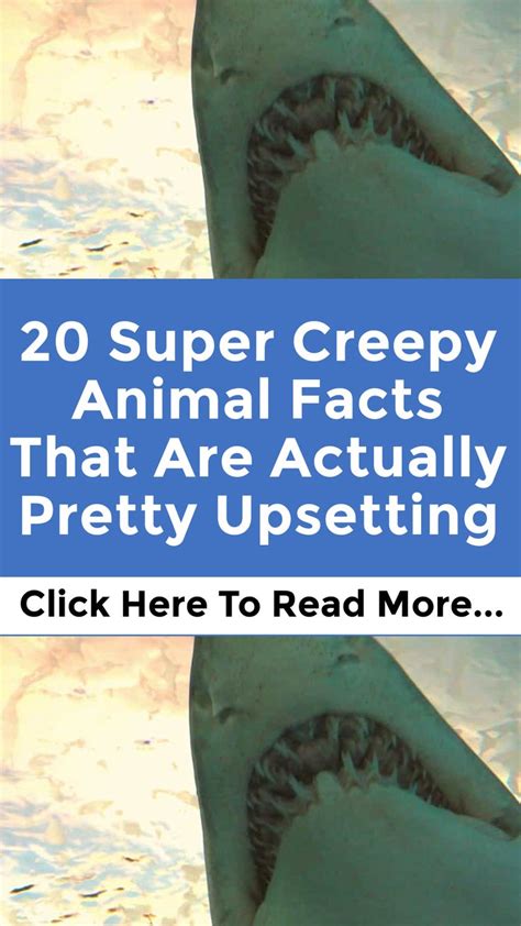 20 Super Creepy Animal Facts That Are Actually Pretty Upsetting in 2023 ...