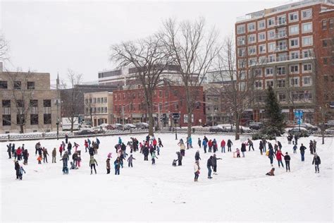 Outdoor Winter Activities in Fredericton