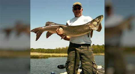 Summer Fishing is in Full Swing! | Minnesota Northwoods