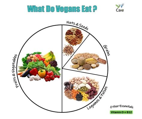 The Vegan Plate - Tips | YV CARE