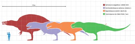 Spinosaurus vs Tyrannosaurus | Be Able