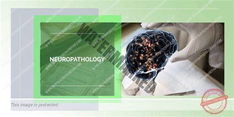 Neuropathology - Boston Brain and Spine Care | Best Neurosurgeon In Chennai