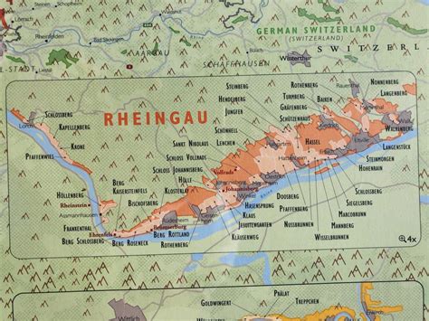 RHEINGAU Wine - Demystifying "The Vine"