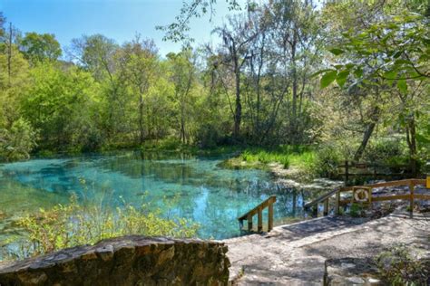 15 Best Things to Do in High Springs (FL) - The Crazy Tourist