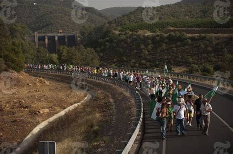 Farmers’ Protest in Spain Points to Problems of Land Ownership | The ...