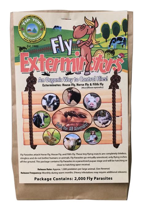 Fly Exterminator | Tip Top Bio-Control - Beneficial Insects