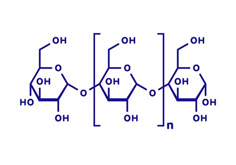 Polysaccharides Cellulose