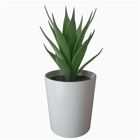 Fejka Potted Plant Model - TurboSquid 1382015