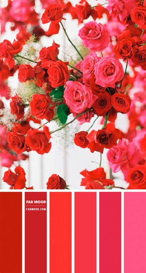 red and pink color scheme with roses