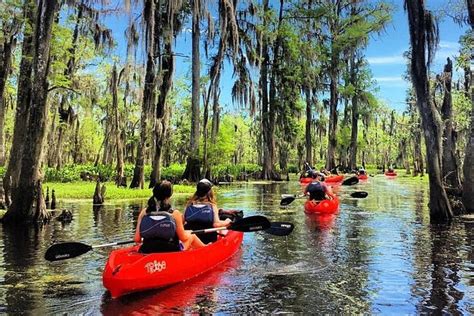 Small-Group Manchac Swamp Kayak Tour 2024 - New Orleans