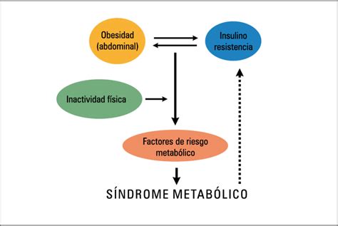 Factores asociados al desarrollo del síndrome metabólico. | Download ...