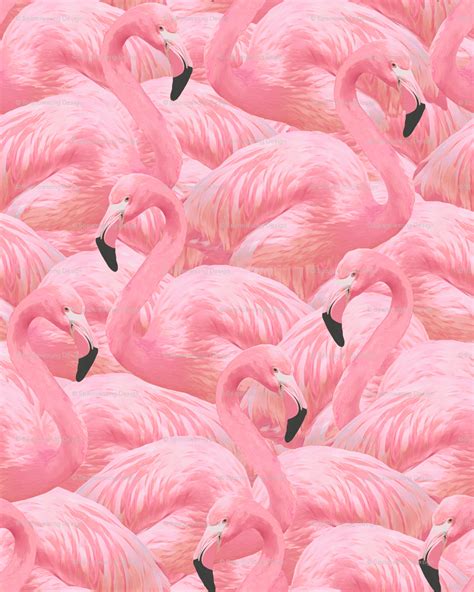 Flamingo Pink Wallpapers - Wallpaper Cave