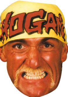 Hulk hogan sports celebrity party face fancy dress - Celebrity ...