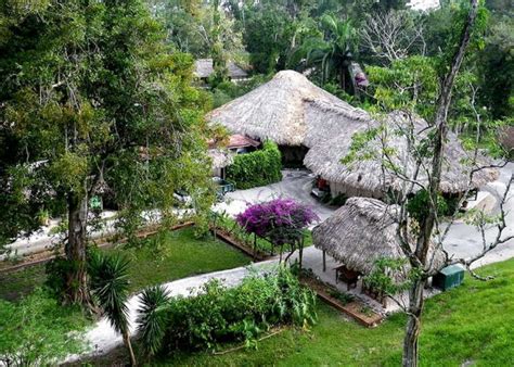 Belize's Best Jungle Lodges To Stay In 2024 | Luxury Jungle Lodges