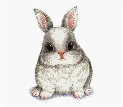 Drawing Watercolor Painting Art Image - Fat Rabbit Cartoon Drawing ...