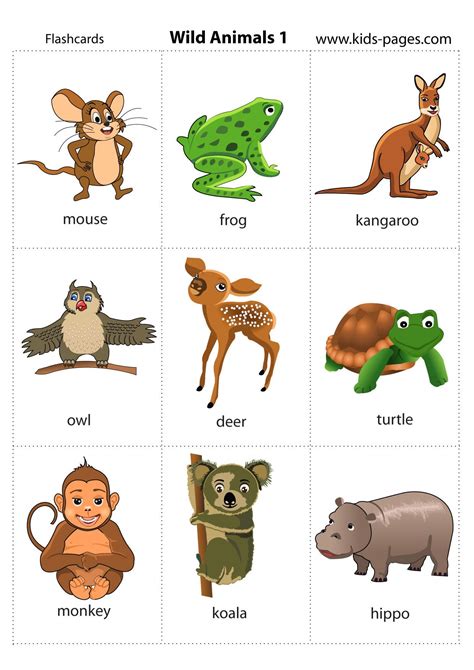 Truth of The Talisman: English Animal Flashcards