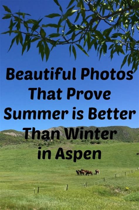 Here are a few photos of Snowmass summer activities that prove Snowmass and Aspen are quite ...