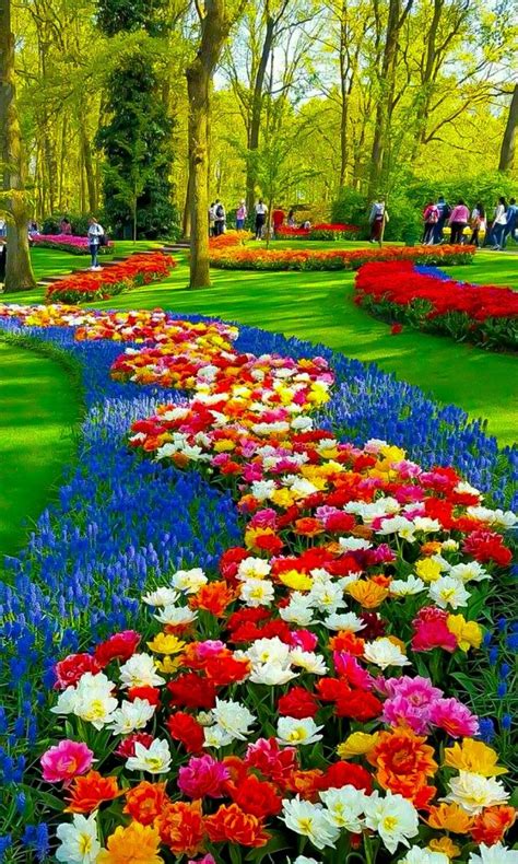 Explore the Beauty of a Flower Garden