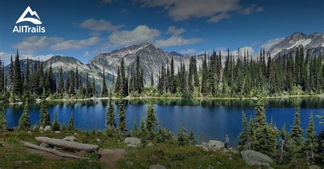 10 Best Forest Trails in Mount Revelstoke National Park | AllTrails