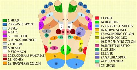 Reflexology: a whole lot more than just foot massage! - The Natural Health Hub
