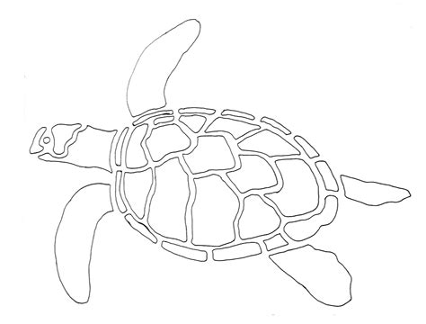 Turtle Outline Drawing at PaintingValley.com | Explore collection of ...