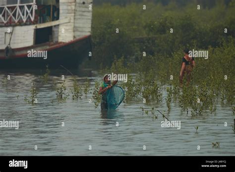 Ganges delta farm hi-res stock photography and images - Alamy