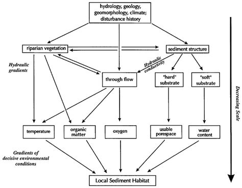 Diagrammatic representation of the different aquatic habitats of the... | Download Scientific ...