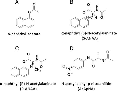 Structures of compounds used to evaluate esterase activity profiles. A ...