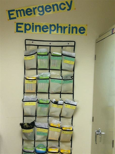 EpiPen storage - over-the-door shoe organizer Nurse Office Decor, School Nurse Office, Nurse ...