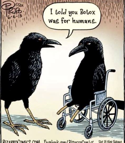 Crow’s Feet. in 2024 | Funny cartoons, Funny comics, Funny animal pictures