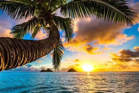 Lanikai Beach Sunrise stock photo. Image of hawaiian - 112930848