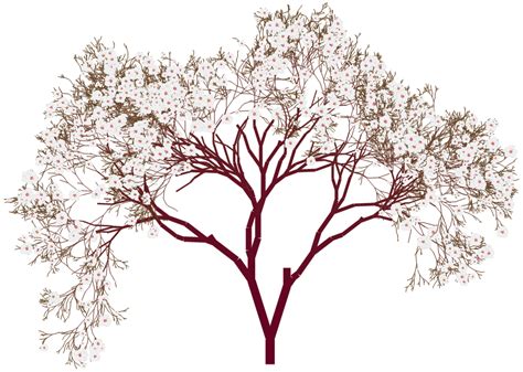 Almond trees clipart 20 free Cliparts | Download images on Clipground 2024