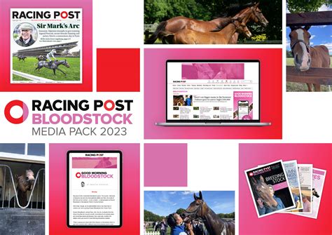 Bloodstock Media Pack 2023 by RACING POST BLOODSTOCK - Issuu