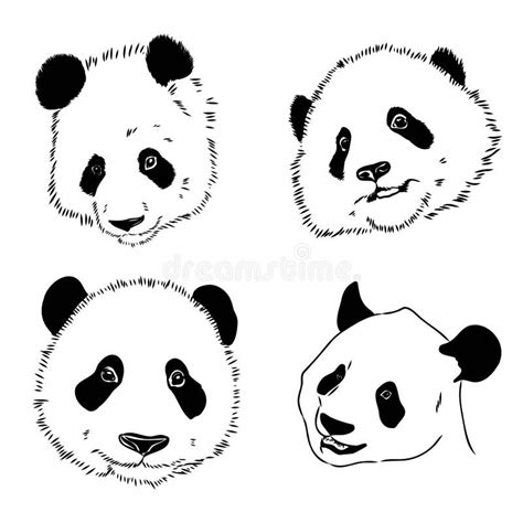 Vector Realistic Sketch of Panda Figure in Full-length, Hand Drawn ...