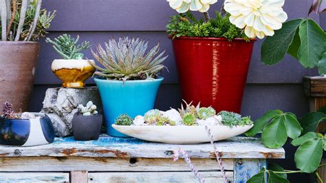 Succulent Container Designs to Win Major Style Points Anywhere - Sunset