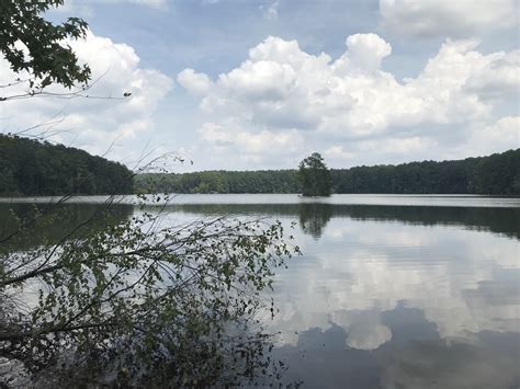 View of Lake Allatoona