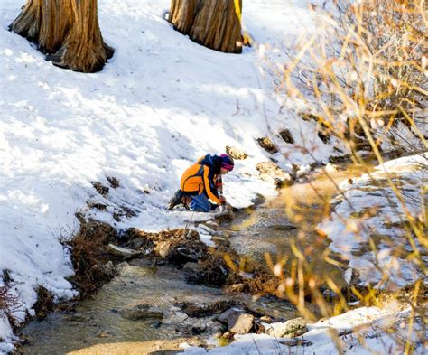 Emerald Cove Outdoor Science Institute, Green Valley Lake, CA - Wander Jobs