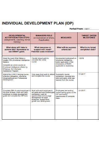 Individual Development Plan Examples Nursing