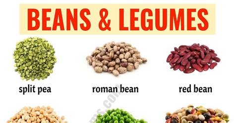 Types of Beans: 15 Different Types of Beans & Legumes with the Picture ...